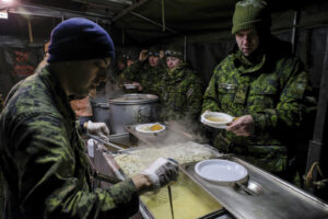 Canada - Quebec - 2017-01-13. During three weeks, french and canadian army trained together during a special exercice ca