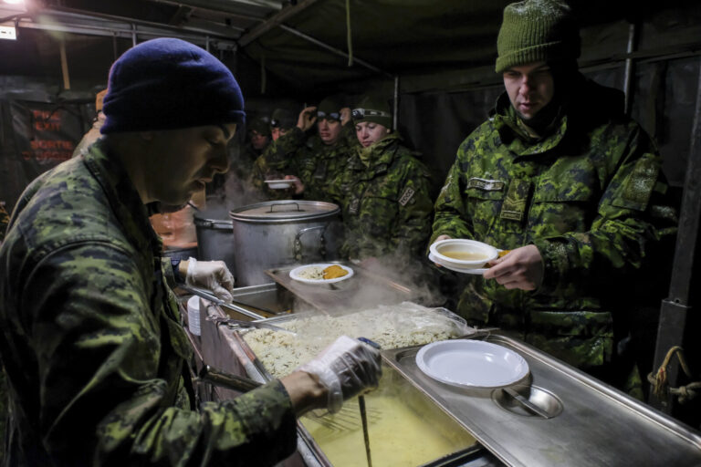 Canada - Quebec - 2017-01-13. During three weeks, french and canadian army trained together during a special exercice ca