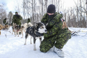 Canada - Quebec - 2017-01-115 During three weeks, french and canadian army trained together during a special exercice ca