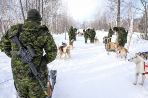 Canada - Quebec - 2017-01-115 During three weeks, french and canadian army trained together during a special exercice ca