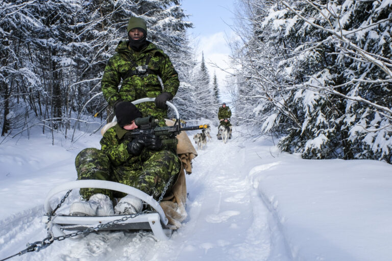 Canada - Quebec - 2017-01-115 During three weeks, french and canadian army trained together during a special exercice ca