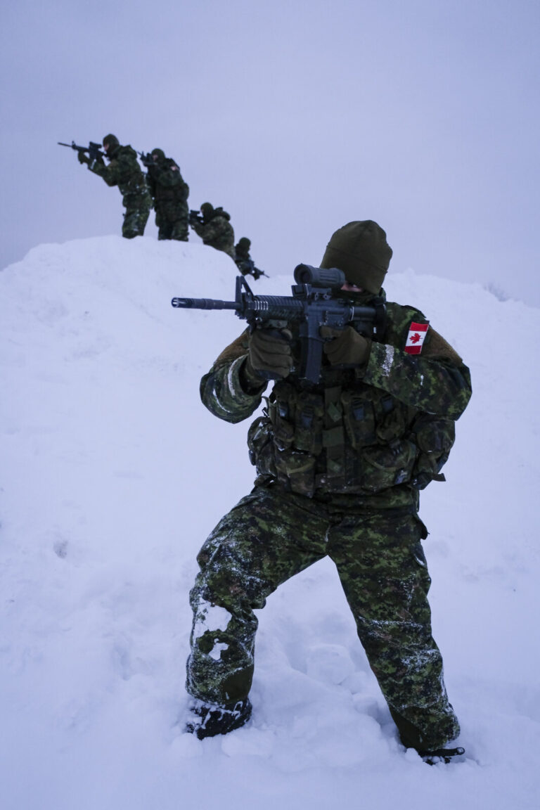 Canada - Quebec - 2017-01-16. During three weeks, french and canadian army trained together during a special exercice ca