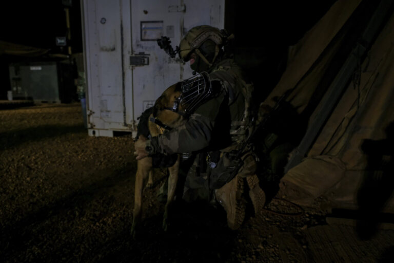 Gao's French base in Mali is the largest of the Barkhane external operation. It is from this base that the operations ar