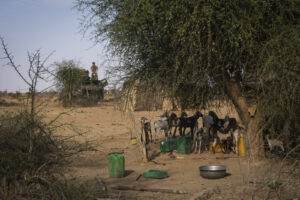 Burkina Faso, april 2021. French army soldiers patrol into Sahel desert during barkhane operation.
Burkina Faso, avril 2