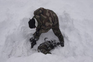 France, Chamonix, 2015-01-29. French mountain soldiers have special training in a special school in Chamonix, the most i