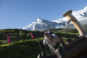 France, Chamonix, 2015-07-01. French mountain soldiers have special training in a special school in Chamonix, the most i