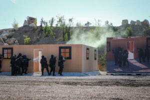 France, Paris, 2022-06-12. Demonstration of french special police forces (BRI) during Eurosatory international land and 