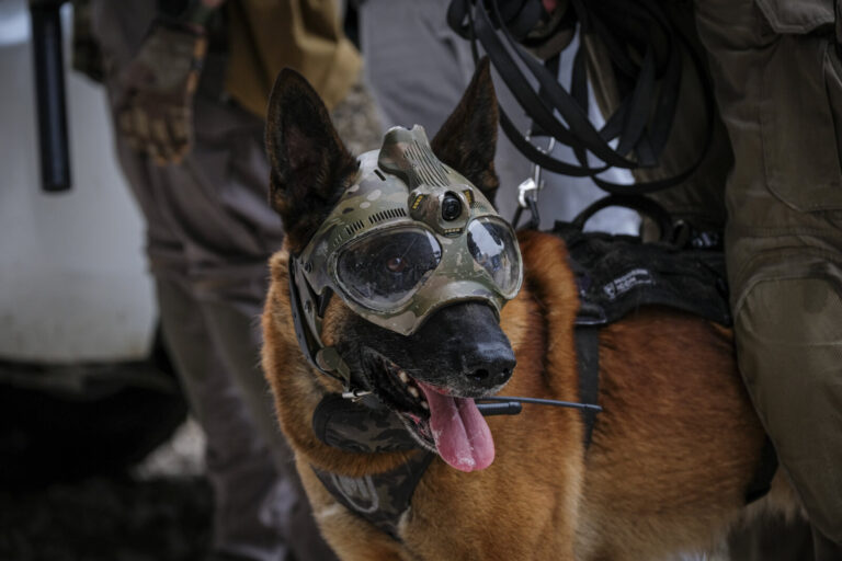 France, Paris, 2024-06-16. Dynamic exhibition of special forces from army and police during Eurosatory, the world event 