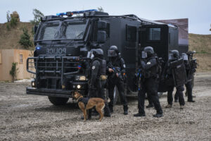 France, Paris, 2024-06-16. Dynamic exhibition of special forces from army and police during Eurosatory, the world event 