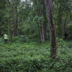 France, Melun, Mai 2024. Officer-students from the Melun school take part in their final exercise before joining a natio