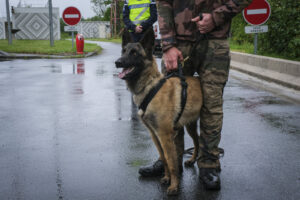 France, Melun, Mai 2024. Officer-students from the Melun school take part in their final exercise before joining a natio