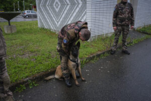 France, Melun, Mai 2024. Officer-students from the Melun school take part in their final exercise before joining a natio