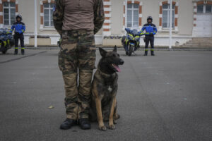 France, Melun, Mai 2024. Officer-students from the Melun school take part in their final exercise before joining a natio