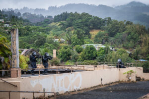 Papeete, France, 2019-11-04. GIGN, special forces from french polynesia during a training. Photograph by Fred MARIE/ Def