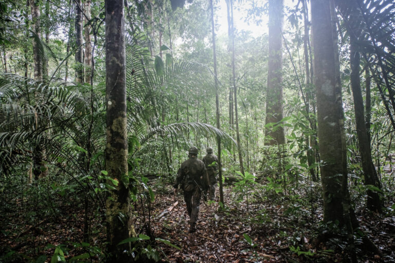 France, Regina, 2018-12-23. In French Guyana, the Green Berets of the Foreign Legion train soldiers in combat and surviv