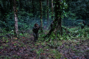 France, Regina, 2018-12-23. In French Guyana, the Green Berets of the Foreign Legion train soldiers in combat and surviv