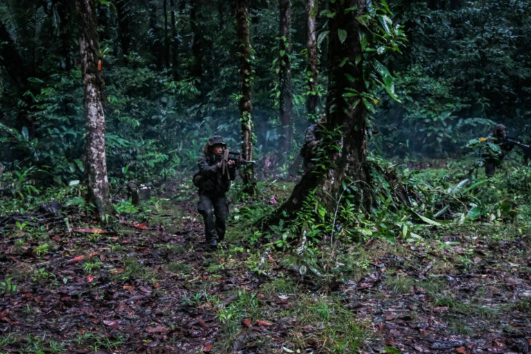 France, Regina, 2018-12-23. In French Guyana, the Green Berets of the Foreign Legion train soldiers in combat and surviv