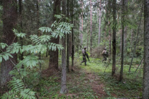 Estonia - Tapa - 2017-08-21. Detachments from the French army, mainly from foreign infantry and engineer regiments (2e R