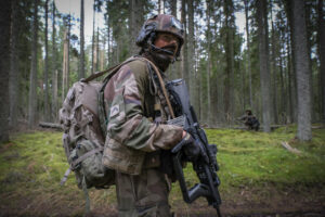 Estonia - Tapa - 2017-08-21. Detachments from the French army, mainly from foreign infantry and engineer regiments (2e R