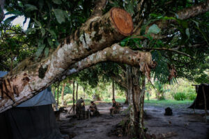 France, Maripasoula, 2018-12-20. In French Guyana, illegal gold mining has been thriving for decades. Fuelled by clandes