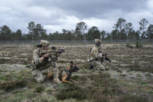 France, Bordeaux, 2023-03-30. Soldiers of the French special forces put on a show during the sofins show, on the militar