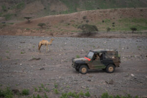 Djibouti, Djibouti, 2020-02-06. French military training into desert. Young officers learn how to survive and combat in 