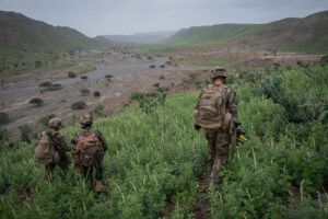 Djibouti, Djibouti, 2020-02-06. French military training into desert. Young officers learn how to survive and combat in 
