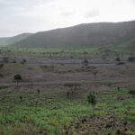 Djibouti, Djibouti, 2020-02-06. French military training into desert. Young officers learn how to survive and combat in