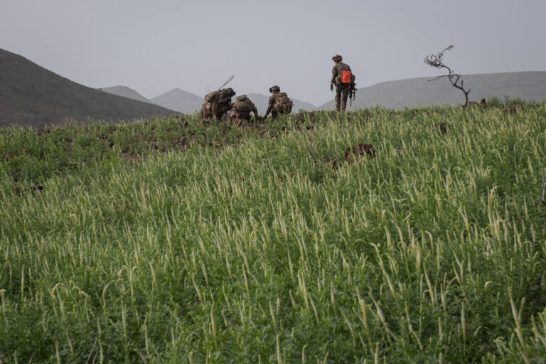 Djibouti, Djibouti, 2020-02-06. French military training into desert. Young officers learn how to survive and combat in 