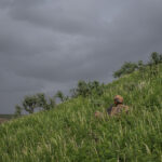 Djibouti, Djibouti, 2020-02-06. French military training into desert. Young officers learn how to survive and combat in