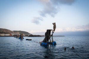 Djibouti, Djibouti, 2020-02-06. French military training into desert. Young officers learn how to survive and combat in 