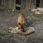 Ukraine, Tchassiv Yar, 2023-03-22. At few kilometers from the front line in Bakhmut, the city was almost destroy by the