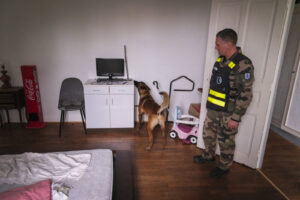 France, Gramat, 2026-03-03. Electronic detection dogs of the gendarmerie at the national dog training centre of Gramat, 