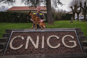 France, Gramat, 2026-03-03. Electronic detection dogs of the gendarmerie at the national dog training centre of Gramat, 