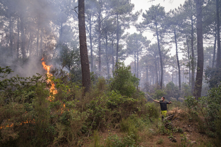 France, Bordeaux, 2026-07-26. Firefighters battle a forest fire in the pine woods of the Gironde on 26 July 2026, with g
