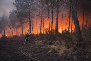 France, Bordeaux, 2026-07-26. Firefighters battle a forest fire in the pine woods of the Gironde on 26 July 2026, with g
