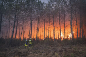 France, Bordeaux, 2026-07-26. Firefighters battle a forest fire in the pine woods of the Gironde on 26 July 2026, with g