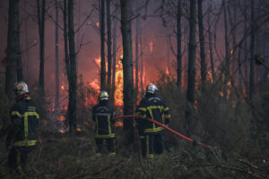 France, Bordeaux, 2026-07-26. Firefighters battle a forest fire in the pine woods of the Gironde on 26 July 2026, with g