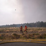 France, Bordeaux, 2026-07-26. Firefighters battle a forest fire in the pine woods of the Gironde on 26 July 2026, with g