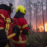 France, Bordeaux, 2026-07-26. Firefighters battle a forest fire in the pine woods of the Gironde on 26 July 2026, with g