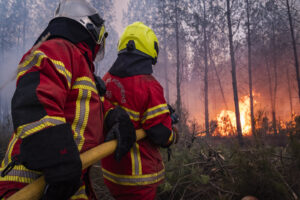 France, Bordeaux, 2026-07-26. Firefighters battle a forest fire in the pine woods of the Gironde on 26 July 2026, with g