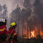 France, Bordeaux, 2026-07-26. Firefighters battle a forest fire in the pine woods of the Gironde on 26 July 2026, with g