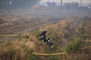 France, Bordeaux, 2026-07-26. Firefighters battle a forest fire in the pine woods of the Gironde on 26 July 2026, with g