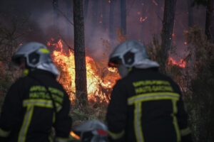 France, Bordeaux, 2026-07-26. Firefighters battle a forest fire in the pine woods of the Gironde on 26 July 2026, with g