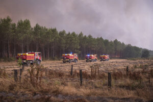 France, Bordeaux, 2026-07-26. Firefighters battle a forest fire in the pine woods of the Gironde on 26 July 2026, with g