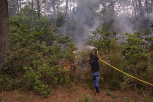 France, Bordeaux, 2026-07-26. Firefighters battle a forest fire in the pine woods of the Gironde on 26 July 2026, with g