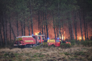 France, Bordeaux, 2026-07-26. Firefighters battle a forest fire in the pine woods of the Gironde on 26 July 2026, with g