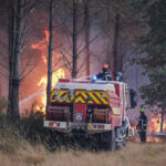 France, Bordeaux, 2026-07-26. Firefighters battle a forest fire in the pine woods of the Gironde on 26 July 2026, with g