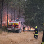 France, Bordeaux, 2026-07-26. Firefighters battle a forest fire in the pine woods of the Gironde on 26 July 2026, with g