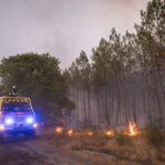France, Bordeaux, 2026-07-26. Firefighters battle a forest fire in the pine woods of the Gironde on 26 July 2026, with g